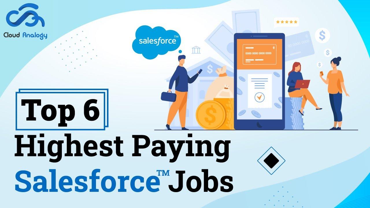 The Unique Skill Sets of Top salesforce Professionals