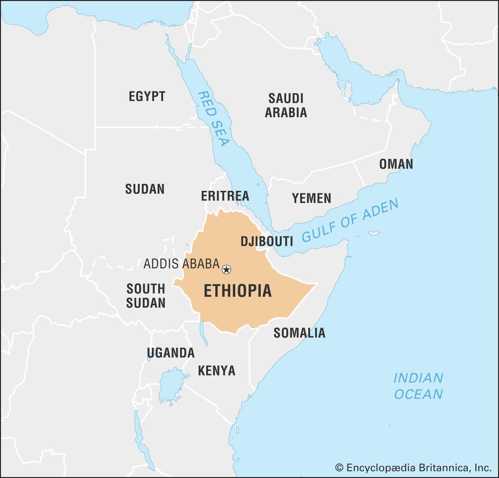 Overcoming Challenges in the Ethiopian Business Environment